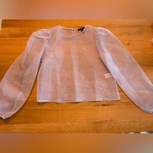 Sheer Light Purple Blouse